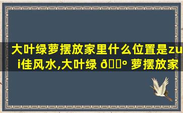 大叶绿萝摆放家里什么位置是zui
佳风水,大叶绿 🌺 萝摆放家里什么位置是zui
佳风水的